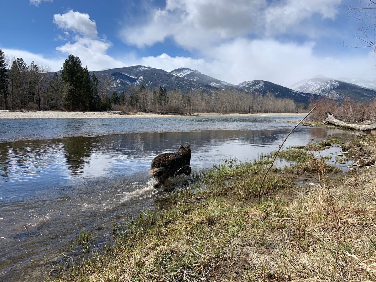 Skwalapalooza Fly Fishing Packages