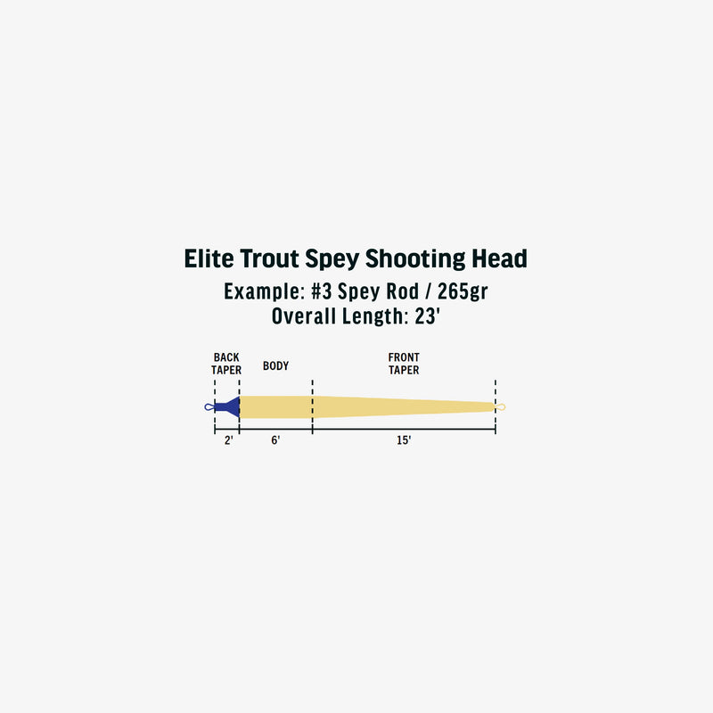 Load image into Gallery viewer, RIO Elite Trout Spey Shooting Head
