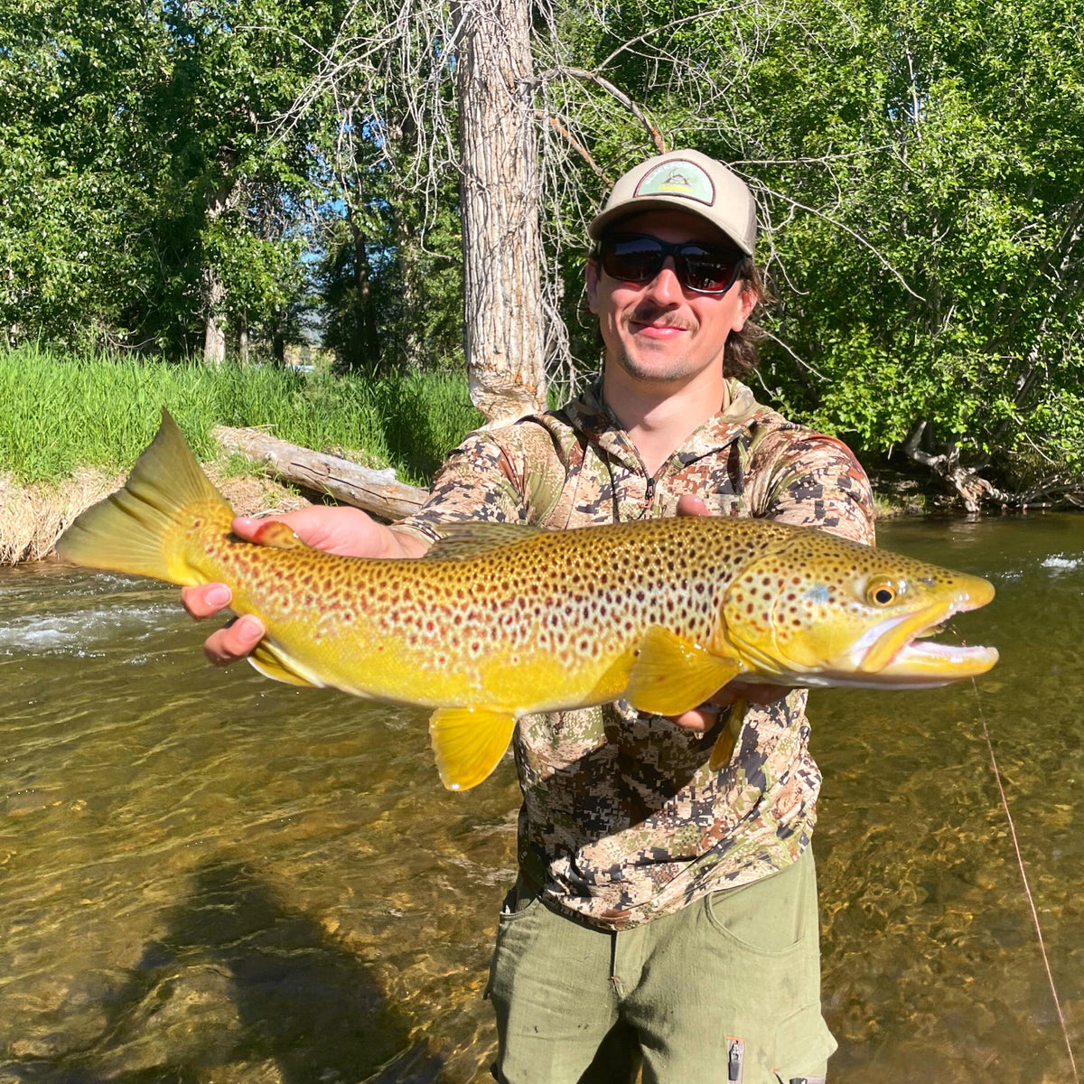 Walk & Wade Fly Fishing Trips