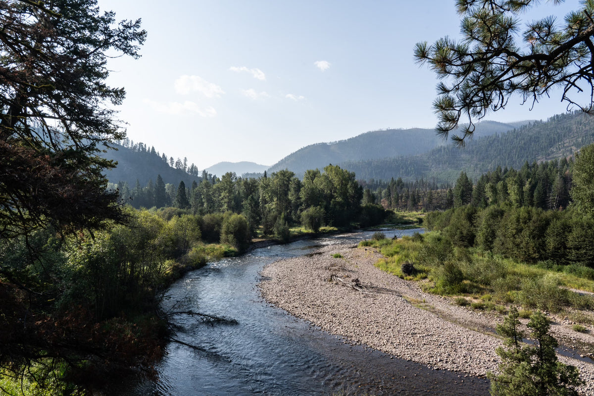 Walk & Wade Fly Fishing Trips