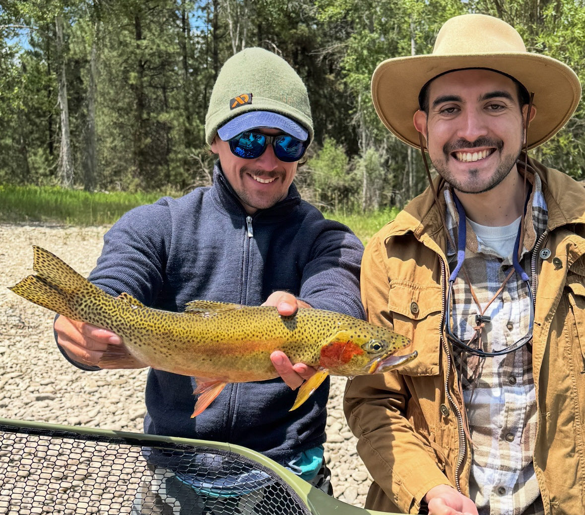 Bitterroot River Fishing Report