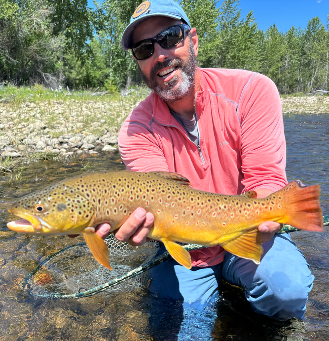 Bitterroot River Fishing Report