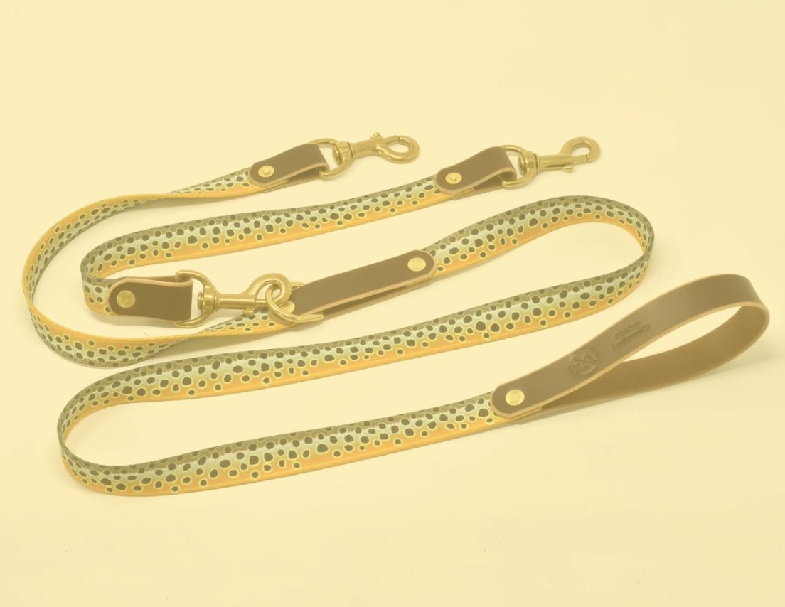 Dog Collars & Leashes