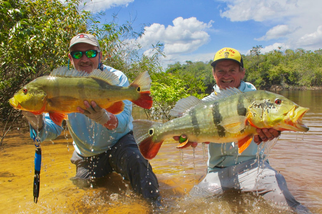Tropical Sun Hoodies
