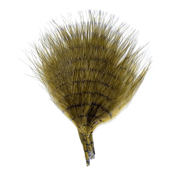 MFC Fine Barred Marabou