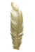MFC Ostrich Plume
