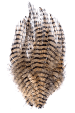 MFC Barred Saddle Hackle