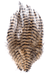 MFC Barred Saddle Hackle