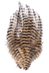 MFC Barred Saddle Hackle