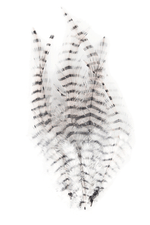 MFC Barred Saddle Hackle