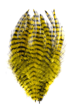 MFC Barred Saddle Hackle