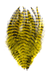 MFC Barred Saddle Hackle