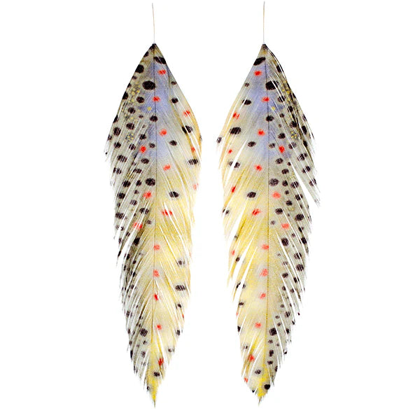 MFC Galloups Fish Feathers