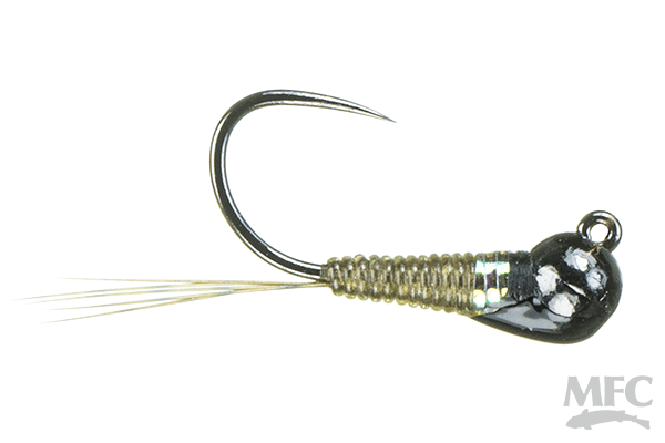 MFC Juan's Jiggidy Jedi- OIive