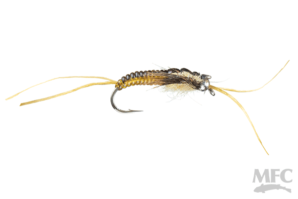 MFC Strolis' Dimmer Stone- Golden