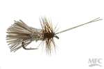 Goddard Caddis