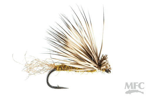 X-Caddis