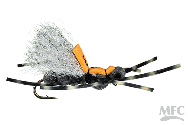 Pavlovich's Sweet Dream - Midnight