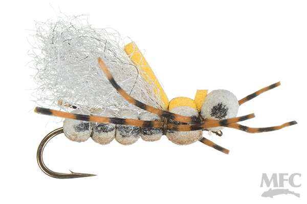 Pavlovich's Sweet Dream - Tan