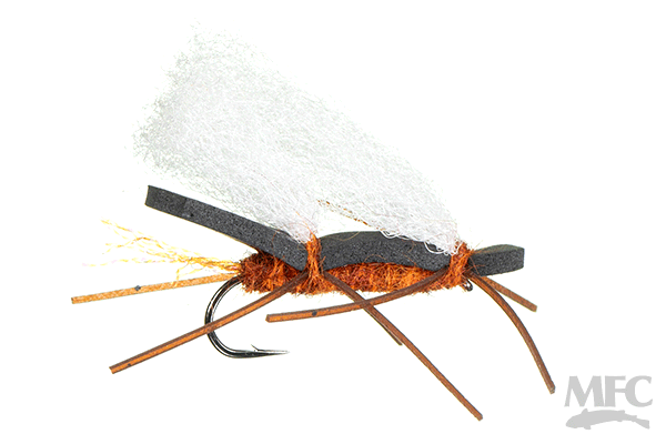 Zach's Idylwilde Chubby - Pteronarcys