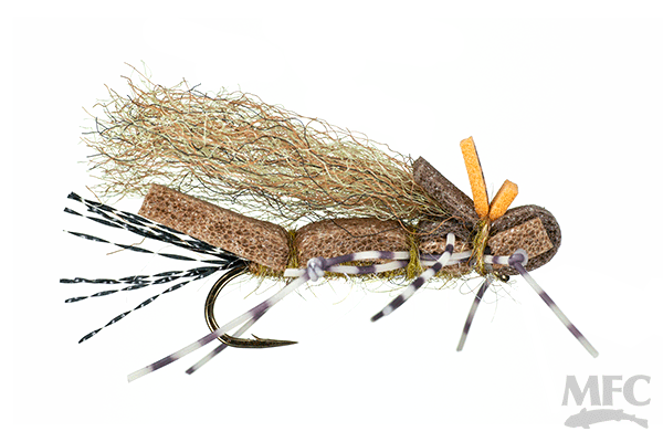 Fool's Gold- Golden Stone