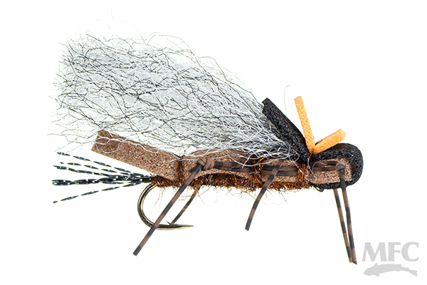 Fool's Gold- Salmonfly