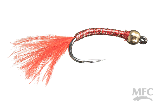 MFC Rowley's Holo Worm