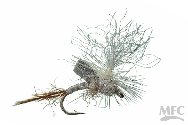 MFC's Booty DL Cripple-PMD-SALE Doz