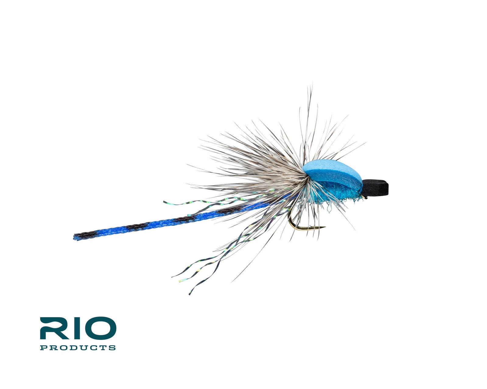 Rio's Adult Damsel