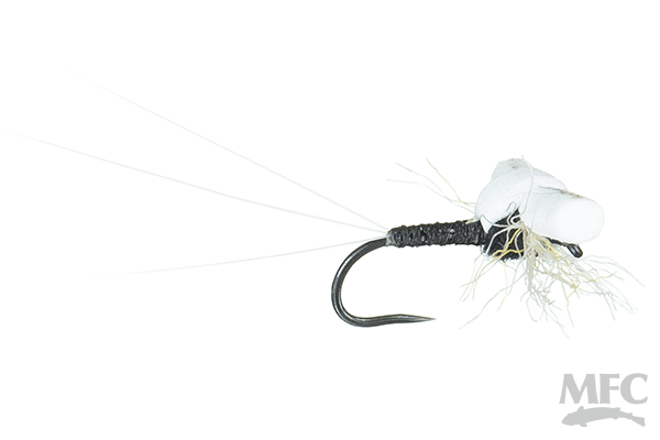 Saliga's Dime Piece Spinner-Trico