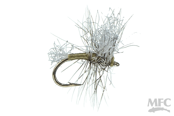 Bucky's Midge Cluster