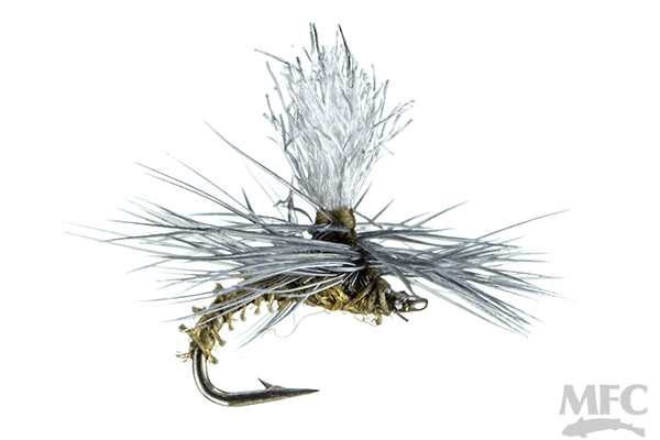Christensen's GT Adult BWO