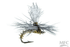 Christensen's GT Adult BWO