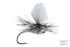 Christensen's GT Adult Grey Drake