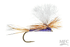 Purple Haze #12- SALE (1/2 DZ)