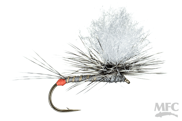 MFC Hot Spot Para-Wulff- Grey