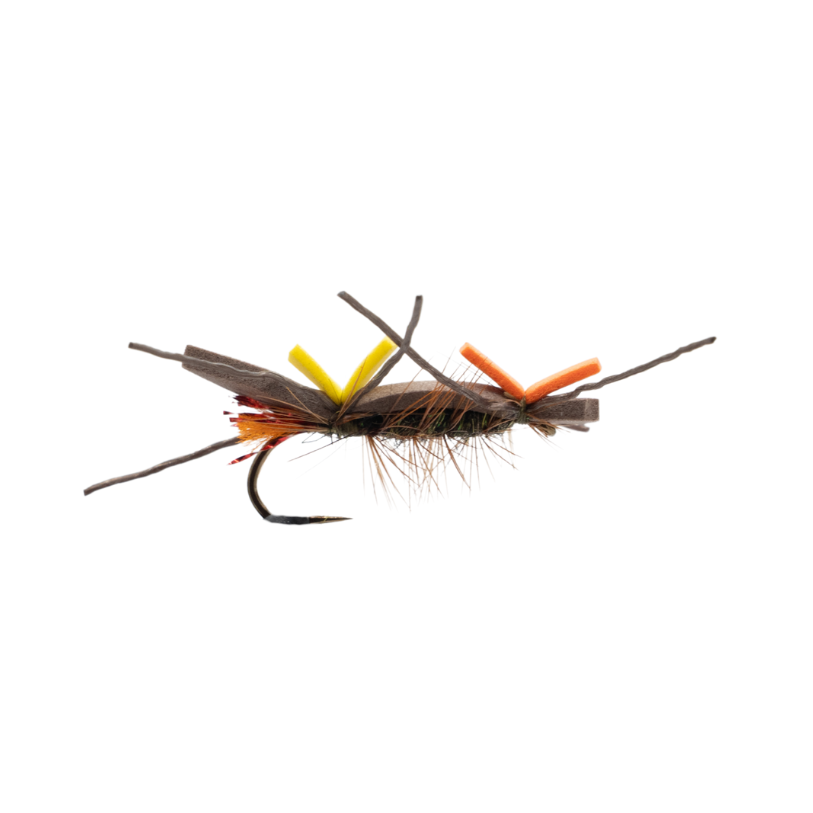 Plan B- Brown/Peacock