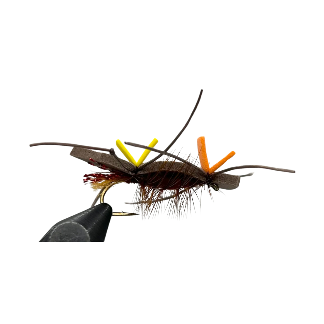 Plan B- Brown/Rust