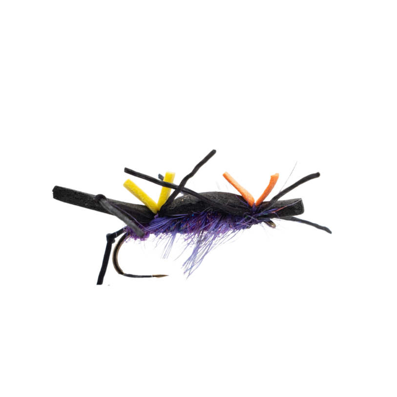 Plan B- Black/Purple