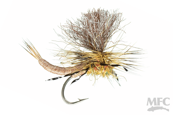 Trina's Carnage Drake-March Brown