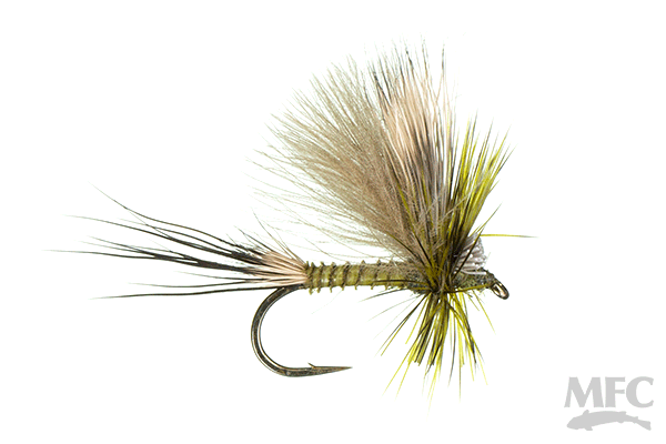 Jake's Hatchback-Green Drake