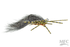 MFC Jig Jirdle Bug- Natural Over Rust/Olive