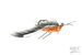 Jig Squirdle Bug (1/2dz)- Natural over Beige/Rust-SALE