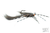 MFC Jig Zirdle Bug- Natural Over Coffee/Black