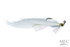 MFC Jig Zonker- White