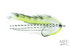 MFC Parsons' Bed Robber- Chartreuse/White