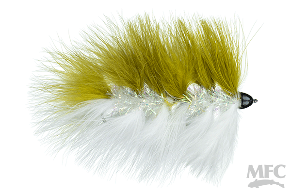 Galloup's Conehead Barely Legal