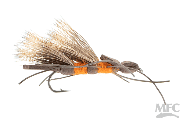 Romans' Thing from Uranus - Salmonfly