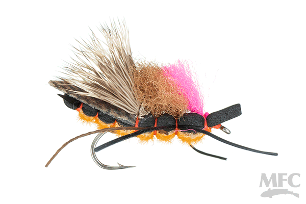 Christensen's Salmonfly