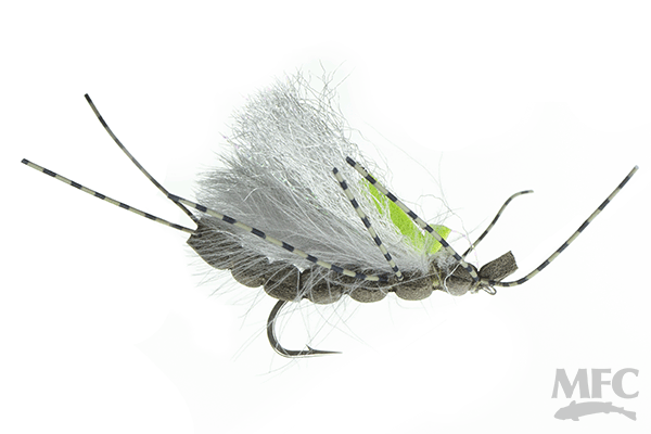 Jake's Blackout Stone- Skwala